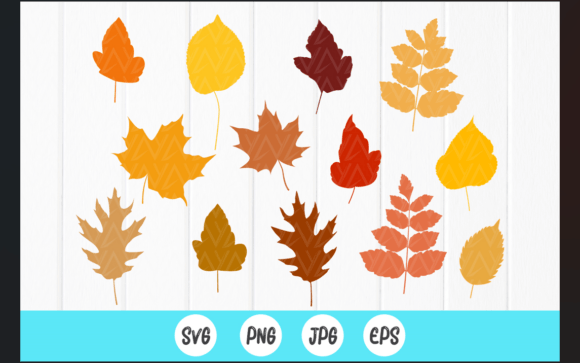 Fall Leaf SVG, Autumn Leaves SVG